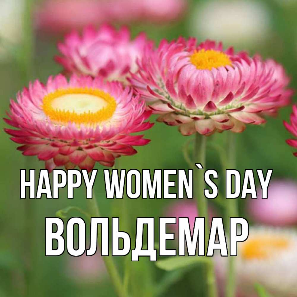 Greetings card с именем, Вольдемар happy women`s day подарок на международный женский день Greetings with text for free download 